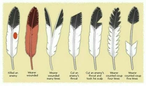 Native American Eagle Feather | Brave's Eagle feather achievments Native American Knowledge, Native Symbols, Feather Tattoo Meaning, Feather Meaning, Indian Feather Tattoos, Native American Eagle, Types Of Feathers, Indian Symbols, Native American Spirituality