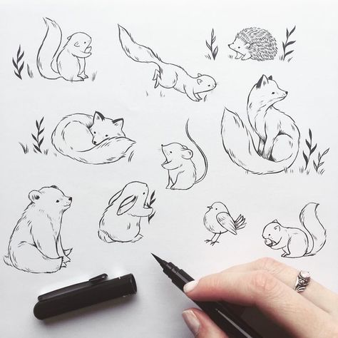 Woodland Critters, Drawing Animals, Nature Tattoos, Animal Sketches, Arte Animal, Woodland Creatures, Tattoo Ink, Animal Tattoos, Drawing Tutorials