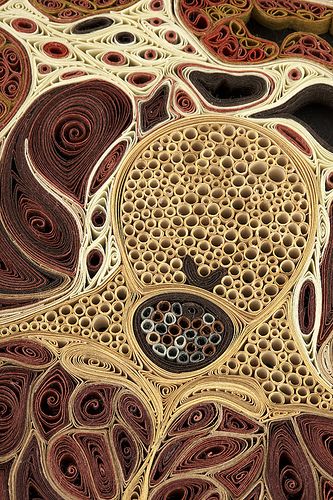 okay, so kind of creepy, but also insanely cool~ if you're an anatomy geek like me; quilled paper cross sections!! wild!! Travis Bedel, Plant Cells, Anatomical Art, Artisan Decor, Colossal Art, Paper Illustration, Cross Section, Medical Illustration, Quilling Art