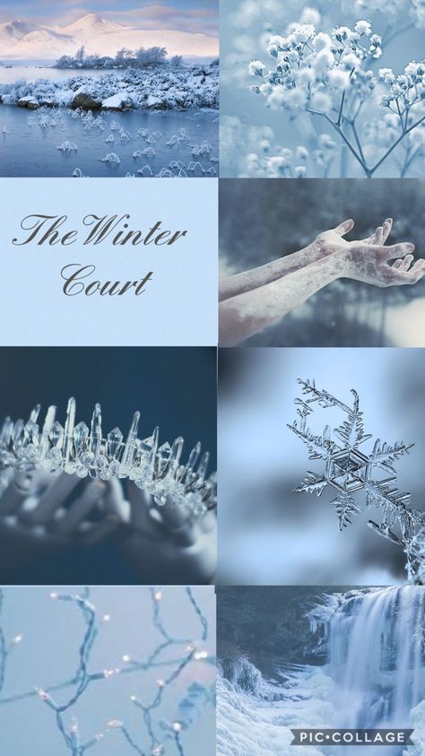 The Winter Court Aesthetic, Winter Court Acotar Aesthetic, Ice Rose Aesthetic, Winter Royal Aesthetic, Winter Pastel Aesthetic, Winter Mood Board Aesthetic, Seelie Court Aesthetic, Acotar Courts Aesthetic, Ice Fairy Aesthetic