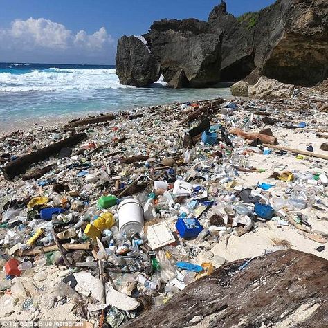 Horrifying images have been released showing the shocking mess left behind by tourists on a beautiful Christmas Island beach.  Bottles everywhere, buckets, plastic wrappers and even sleeping bags were left at Greta Beach on the Australian territory. Plastic On The Beach, Horrifying Images, Disturbing Photos, Job Inspiration, Marine Debris, Christmas Island, Save Our Earth, Save Our Oceans, Beach Glass Art