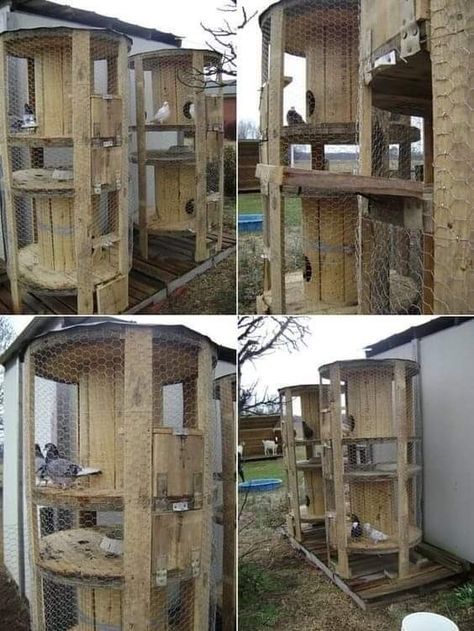 Rustic Ideas, Chicken Coop, Coop, Chicken