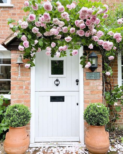 Front Porch Facelift, Rose Pergola, Enchanted Garden Ideas, Rose Garden Ideas, Weeping Cherry Tree, Weeping Cherry, Creative Garden Decor, Rose Garden Design, Porch Styles