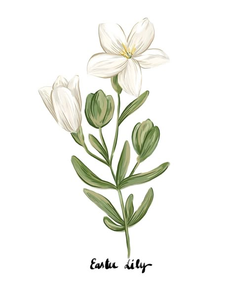 Binny | Easter Lily, Crocus & Hellebore.⁠ ⁠ ⁠ Sign up now 💌⁠ https://binnywear.com/pages/subscribe ⁠⁠ | Instagram Water Colour Flower, Easter Lily, Art Embroidery, April 12, Gouache Painting, Aesthetic Stickers, Water Colour, Just A Girl, This Morning