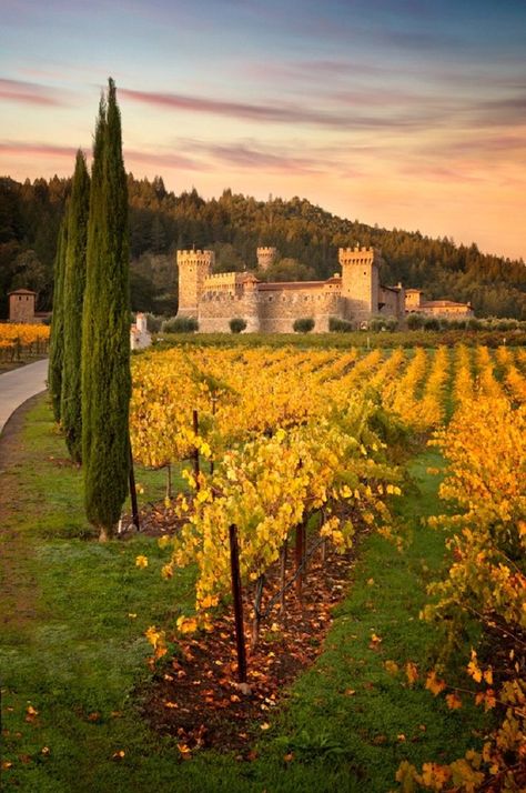 Castello Di Amorosa - A castle and a winery, this place attracts people with its uniqueness and the good wine. The starting price for wine tasting is 35$, for several Italian wine types, including Merlot and Cabernet Sauvignon. Castelo di Amorosa was built in a 13th century-inspired Tuscan style by Medieval architecture enthusiast owner Dario Sattui. This winery was first opened to the public  in April 2007. Wine Architecture, Napa Valley Vineyards, Napa Trip, Napa Valley Trip, Napa Valley Wineries, Napa Valley Wine, Wine Country California, Amazing Travel, A Castle