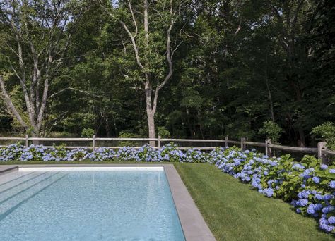 Dreaming in Blue at a Stylist’s Hamptons Compound Split Rail Fence Hydrangeas, Split Rail Fence Around Pool, Hydrangeas By Pool, Fence Around Pool Ideas, Hydrangea Around Pool, Pool With Fence, Landscaping Steps, Hydrangea Hedge, Pool Border