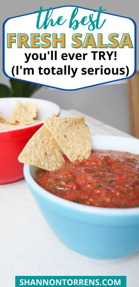 Vegan Salsa Recipe, Salsa Recipe Homemade, Roma Tomato Recipes, Mild Salsa Recipe, Fresh Salsa Recipe Homemade, Vegan Salsa, Tomato Salsa Recipe Fresh, Easy Homemade Salsa Recipe, Best Salsa Recipe