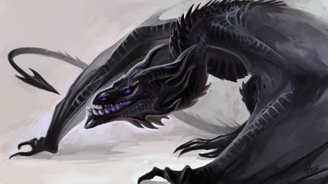 Dark wyvern by Allagar.deviantart.com on @DeviantArt Wyvern Art, Got Dragons, Dragon Tales, Dragon Sketch, Cool Dragons, Here Be Dragons, Beautiful Dragon, Dragon Pictures, White Dragon