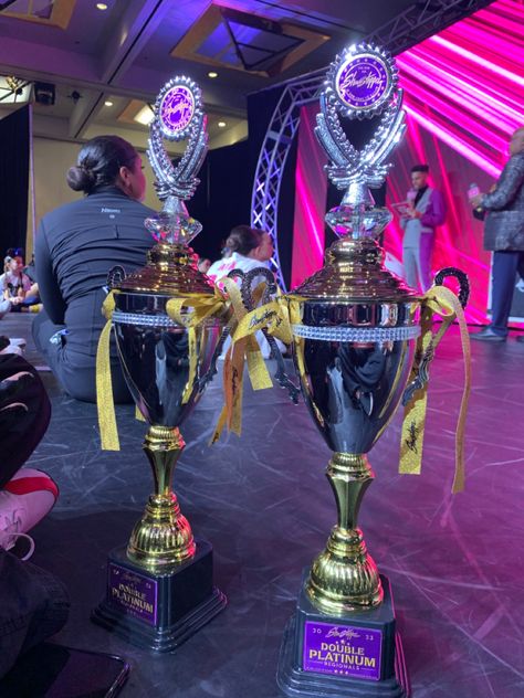 Dance Trophies Aesthetic, Dance Trophies, Dance Nation, Academic Awards, Dance Awards, Trophy Collection, Dance Comp, Vision Board Collage, Nurse Aesthetic