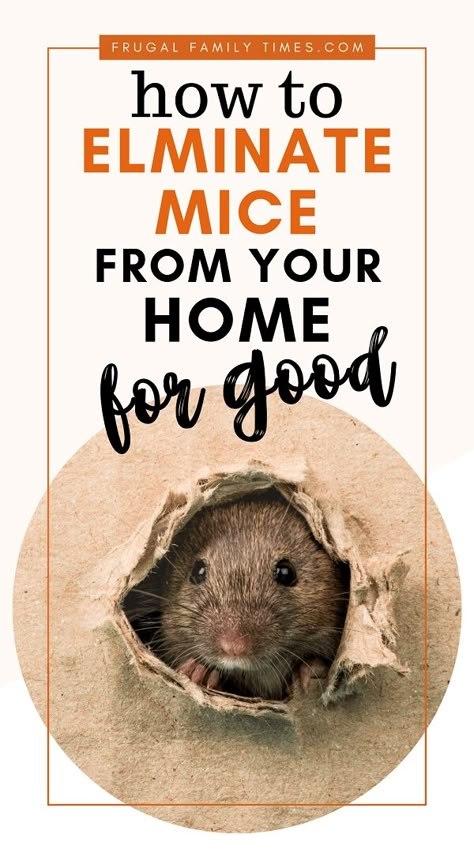 Get rid of mice for good. Our rodent proofing guide: how to get rid of the mouse problem in your home, cottage or cabin. Keep rodents out of your home forever. Diy Mice Repellent, Mouse Deterrent, Mice Infestation, Getting Rid Of Rats, Getting Rid Of Mice, Rodent Repellent, Mobile Home Makeover, Mice Repellent, Mouse Hole