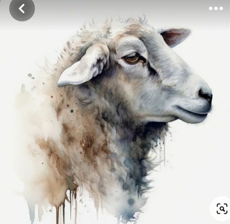 Sheep Face Drawing, Sheep Art Painting, Unique Watercolor Paintings Ideas, Watercolour Sheep, Sheep Watercolor, Watercolor Sheep, Painting Sheep, Animal Digital Art, Farm Animal Paintings