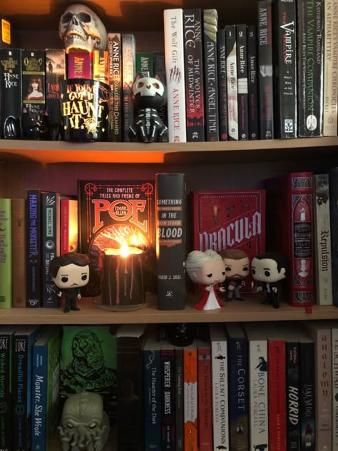 Horror Bookshelf, Maximalist Bookshelf, Maximalist Room, Bookshelf Aesthetic, Vampire Look, Acid Bath, Girl Cave, Books Manga, Spooky Stuff