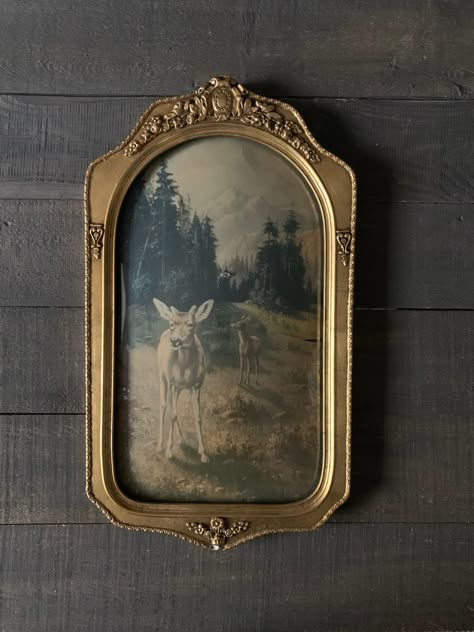 Antique Art Frame, Old Fashioned Picture Frames, Old Picture Frames On The Wall, Vintage Frame Aesthetic, Vintage Picture Frames On The Wall, Old Picture Frame Ideas, Old Photo Frames, Vintage Frame Design, Picture Frames Vintage