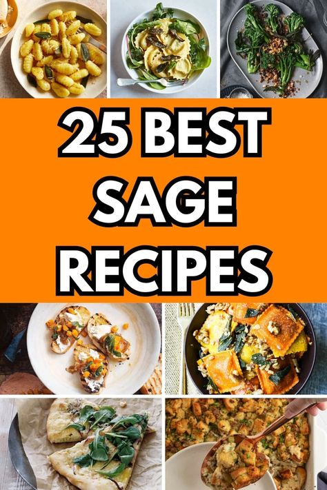 25 Savory Sage Recipes to Warm Your Soul – Happy Muncher Dried Sage Recipes, Sage Recipes Healthy, Sage Herb Recipes, Sage Uses Recipes, Recipe With Sage, Recipes With Fresh Sage Leaves, Recipes Using Fresh Sage, Sage Dishes, Recipes With Sage Leaves