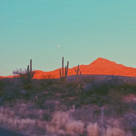 Arizona desert aesthetic Arizona Desert Aesthetic, Aesthetic Desert, Desert Aesthetic, Desert Vibes, Arizona Desert, Western Aesthetic, Aesthetic Painting, Aesthetic Aesthetic, Arizona