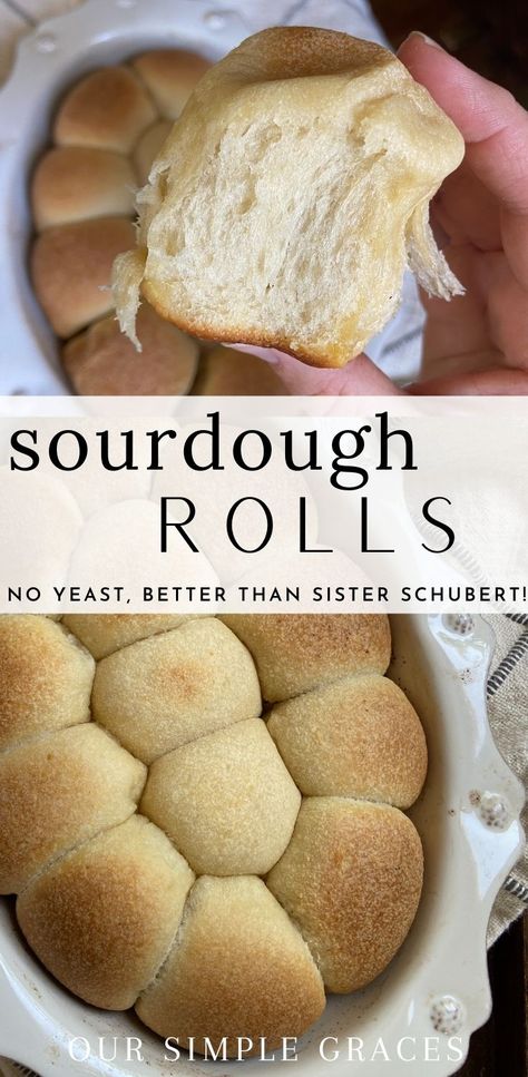 Rolls No Yeast, Sourdough Dinner Rolls, Recipe Using Sourdough Starter, Sourdough Rolls, Sourdough Starter Discard Recipe, Dinner Roll, Gluten Free Sourdough, Homemade Sourdough Bread, Sourdough Starter Recipe