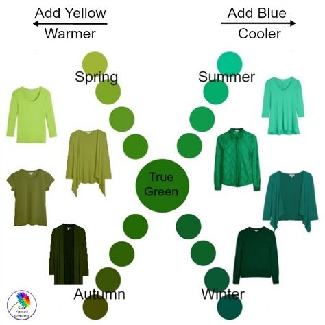 Shades of Green #shadesofgreen #howtoweargreen https://www.style-yourself-confident.com/shades-of-green.html Green Matching Colors Outfit, Shades Of Green Outfit, Autumn Color Palette Fashion, Deep Autumn Color Palette, Soft Summer Palette, Winter Greens, Color Seasons, Deep Winter Colors, Autumn Color Palette