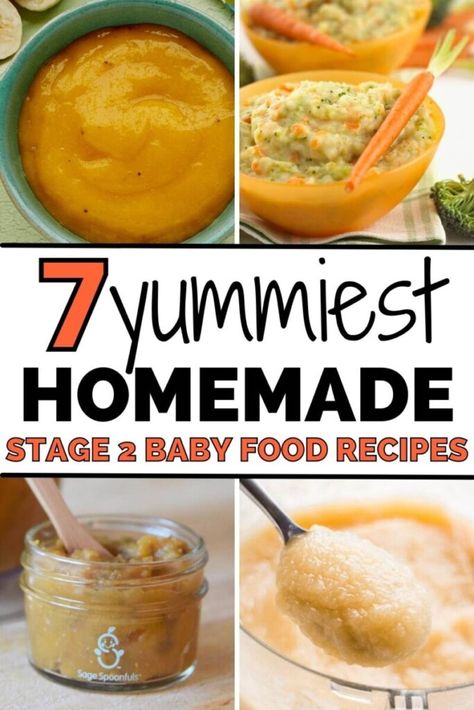 7 Easy Stage 2 Homemade Baby Food Recipes 6-9 Months Baby Puree Recipes Stage 2, Stage 2 Baby Food Recipes, Homemade Baby Puree Recipes, 7 Month Old Baby Food, 9 Month Old Baby Food, Green Bean Baby Food, 7 Months Baby Food, Stage 2 Baby Food, 9 Month Baby Food