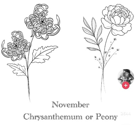 Chrysanthemum Peony Tattoo, November Birth Flower Tattoo Peony, Chrysanthemum And Peony Tattoo, Peony Tattoo Simple, Peony Fine Line Tattoo, Crysanthemum Tattoo Simple, Chrysanthemum Tattoo Design, November Birth Flower Tattoo, Peony Flower Tattoos