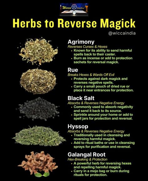 Lucky Herbs Witchcraft, Herbs For Banishing Spells, Herbs And Their Uses Witchcraft, Galangal Root, Hoodoo Magic, Candle Magic Spells, Reclaim Your Power, Magickal Herbs, Witch Herbs