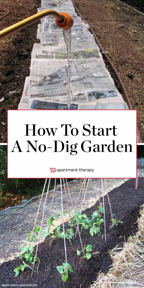 No Dig Raised Garden Beds, How To Start A Garden Bed, No Dig Garden Layout, Raised Bed Garden Ideas, No Dig Garden, Easy Garden Ideas Landscaping, Cheap Raised Garden Beds, Tomato Growers, Dig Gardens