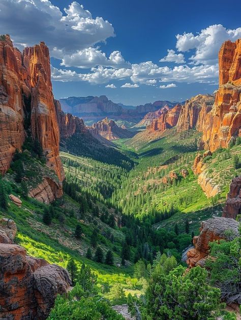 Zion national park Zion National Park Utah, Pretty Landscapes, Zion National Park, Nature Aesthetic, Pretty Places, Nature Travel, Travel Aesthetic, Mother Earth, Nature Pictures