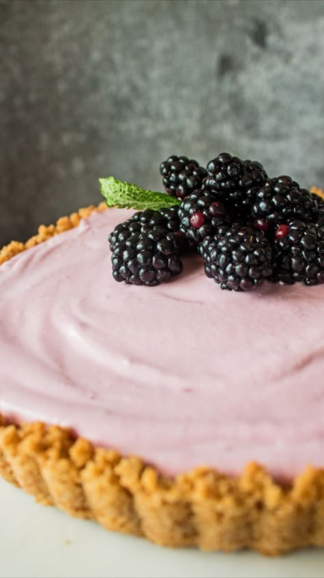 Blackberry Puree, Unique Pie Recipes, Graham Cracker Dessert, Easy Cream Pie, Summer Pie Recipes, Fruit Pie Recipe, Lush Dessert, Cream Pie Filling, Homemade Pie Recipes