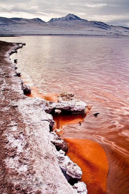 Our family went by train from San Francisco CA to Chicago in 1957 upon our arrival in the U.S. and the train track ran right over the Great Salt Lake.  I remember seeing a lot of white! Great Salt Lake Utah, Great Salt Lake, Utah Travel, Salt Lake City Utah, America The Beautiful, Pretty Places, Places I Want To Go, Lake City, Salt Lake City