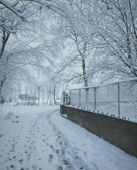 Fresh Snowfall Across Kashmir Valley Fresh Snowfall, Kashmir Valley