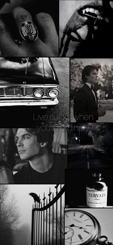 Damon Aesthetic Wallpaper, The Vampire Diaries Wallpaper Iphone, Damon Salvatore Wallpaper Iphone, Damon Salvatore Wallpaper, Damon Salvatore Aesthetic, Damon Salvatore Vampire Diaries, Vampire Diaries Wallpaper, Vampire Diaries Damon, Dont Touch Me