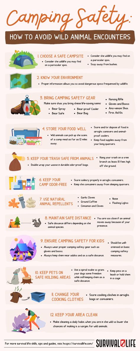 Arm yourself with these safety camping tips and enjoy a hazard-free time in the wild with your friends and family. #campingsafety #campingtips #camping #survivaltips #survivalskill #survivallife Survive In The Wild, Wild Camping Hacks, Camping Safety Tips, How To Survive In The Wild, How To Survive In The Wilderness, Survival Notebook, Wilderness Skills, Bear Safety Camping, Bear Safety