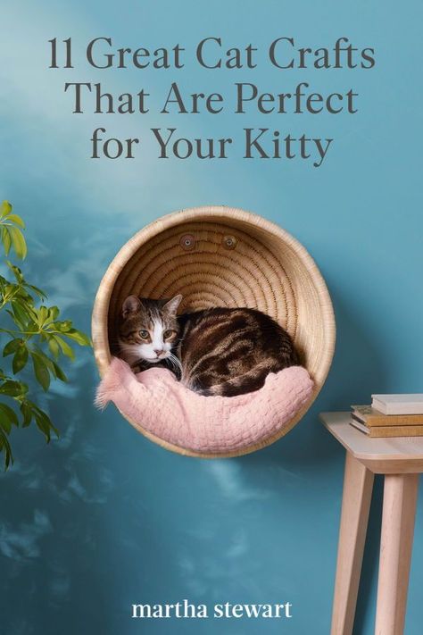 Whichever DIY idea you decide on, we're paw-sitive that any cat will adore these handmade toys and surprise treats. #marthastewart #pets #diypets #petbeds #petfurniture #diyprojects How To Make Cat Beds Diy Projects, Diy Catio Toys, Decorating Diy Ideas, Diy Cat Cubby, Cat Wall Bed Diy, Diy Catification Ideas, Diy Crafts For Cats, Cat Wall Boxes Diy, Diy For Cats Projects