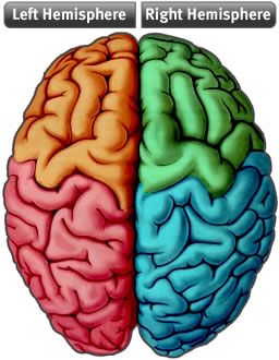 Left and Right Brain Hemispheres Left Brain Right Brain, Graphic Resume, Brain Balance, Brain Vector, Self Alignment, Left Brain, Heart Brain, Brain Art, Brain And Heart