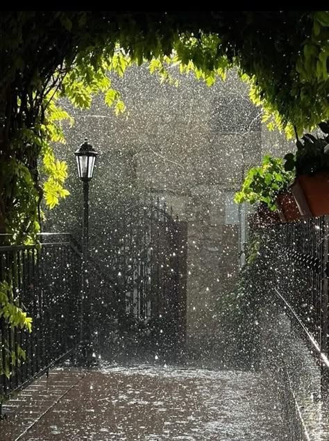 Rain Scenery, Rain Core, Women Eating, Rainy Mood, I Love The Rain, Rain Pictures, Rain Aesthetic, Love The Rain, Rainy Day Aesthetic