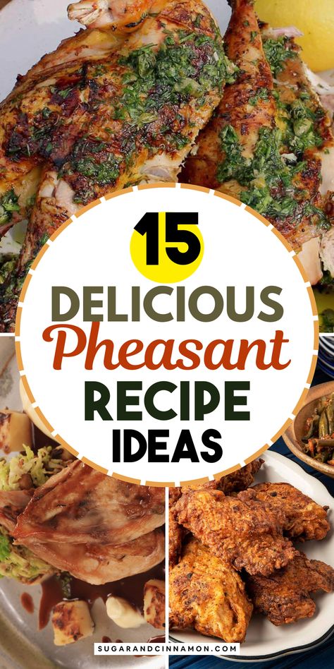 Impress your guests with these delicious pheasant recipes! 🍽️🦃 From easy-to-make dishes to gourmet flavors, find the perfect recipe to elevate your next dinner party. Don't miss out on these tasty ideas—save this pin for later! 📌💖 Pheasant Thigh Recipe, Pheasant Under Glass Recipe, Air Fryer Pheasant Recipes, Pheasant Marinade, Instant Pot Pheasant Recipes, Grilled Pheasant Recipes, Dove Recipes Wild, Whole Pheasant Recipes, Smoked Pheasant Recipes