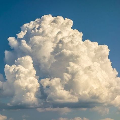 Clouds are heavy! In fact, a medium-sized cumulus cloud weighs about the same as 80 elephants. This is due to all the water they contain (upwards of 500 million grams worth). So why don't they simply fall out of the sky? Well, the weight is spread out into trillions of tiny water droplets over a great distance. Cumulonimbus Cloud, Cumulus Clouds, Cloud Photos, Clouds Photography, The Blue Sky, Grey Clouds, Thunder And Lightning, White Clouds, Sky And Clouds