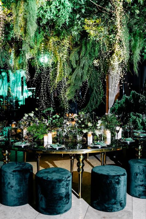 birthday party decoration Green Black Birthday Decorations, Dark Green Birthday Theme, Forest Birthday Party, Moms 50th Birthday, Mysterious Forest, Forest Birthday, 38th Birthday, Green Birthday, Forest Party