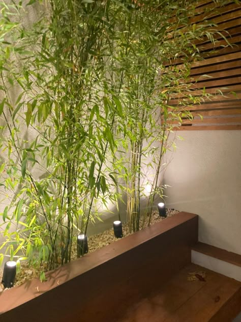 Healthy Restaurant Design, Wall With Plants, In Door Garden, Wall Climbing Plants, Indoor Bamboo, Bamboo Landscape, Yoga Garden, Massage Room Decor, Zen Garden Design