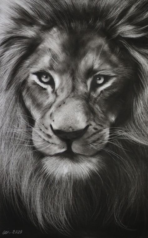 Pencil drawing for beginners Sketching Of Animals, Animals Portrait Drawing, Hyper Realistic Charcoal Drawings, Realistic Charcoal Drawings Portraits, Charcoal Portrait Sketches, Charcoal Art Animals, Charcoal Sketches Portraits, Charcoal Art Sketches, Charcoal Sketches Realistic