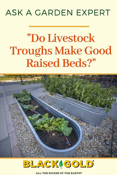 Stock Tank Gardening, Garden Raised Beds, Garden Troughs, Beds Modern, Raised Bed Garden Design, Raised Vegetable Gardens, Vegetable Beds Raised, Raised Garden Planters, Garden Boxes Raised