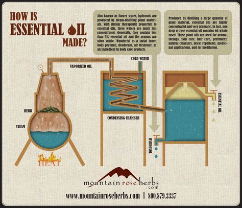 How is Essential Oil Made? Oil Distiller, Essential Oil Distiller, Mountain Rose Herbs, Mountain Rose, What Are Essential Oils, Making Essential Oils, Diy Essentials, How To Make Oil, Energy Generator