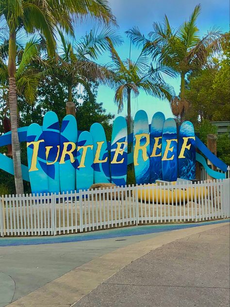 •seaworld san diego’s “turtle reef”• 📸 : emily.ruiz03 Seaworld San Diego Aesthetic, San Diego Aesthetic, Sea World San Diego, Seaworld San Diego, Planet Coaster, Knotts Berry Farm, Berry Farm, I Wish I Was, Sea World