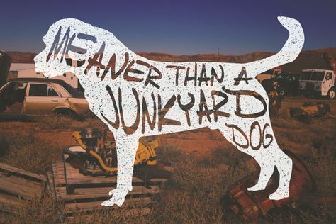 Meaner Than A Junkyard Dog! #Texas #Sayings #Forty29 www.forty29.com Meaner Than A Junkyard Dog, Junkyard Aesthetic, Texas Sayings, Junkyard Dog, Random Inspiration, Lady And The Tramp, Inspiration Board, Short Film, Cool Things