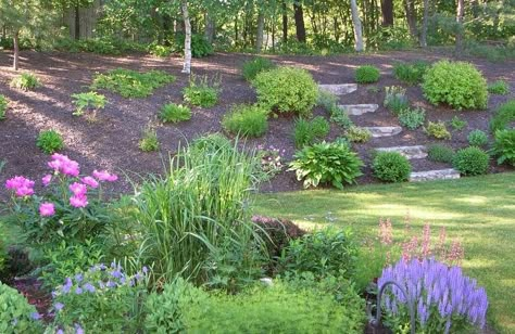 Planting Slopes, Steep Landscaping, Backyard Hill Landscaping, Backyard Hill, Hillside Landscape, Slope Landscaping, Hill Landscaping, Sloped Backyard Landscaping, Landscaping A Slope