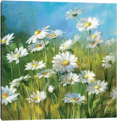 Summer Field, Daisy Field, Daisy Painting, White Daisies, Buy Art Online, Pictures To Paint, Flower Field, Diy Painting, Print On Canvas