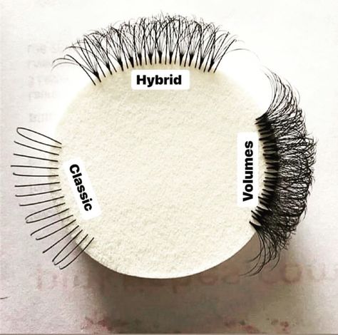 Different Types Of Lashes, Types Of Lashes, Eyelashes Tutorial, Eyelash Extensions Salons, Lash Extentions, Eyelash Salon, Lash Mapping, Lash Quotes, Eyelash Tips