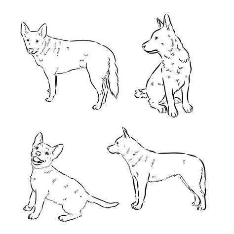 Hand drawn australian cattle dog vector ... | Premium Vector #Freepik #vector #dog-head #french-bulldog #bulldog #black-dog Cattle Dog Illustration, Cattle Dog Drawing, Dog Vector Illustration, Dog Drawing Simple, Dog Vector, Vector Sketch, Drawing Simple, Tattoo Outline, Dog Tattoo