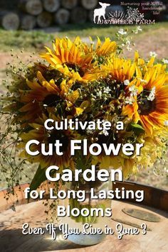 Cultivate a Cut Flower Garden for Long Lasting Blooms Even If You Live in Zone 3 Zone 6 Gardening, Beautiful Flower Beds, Plant Troughs, Garden Front Of House, Cut Flower Farm, List Of Flowers, Garden Help, Cut Flower Garden, Farm Stand