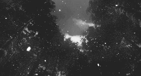 Winter Snow Animated Gifs at Best Animations Snow Falling Gif, Falling Gif, Anime Snow, Snow Gif, Concept Art Gallery, Aesthetic Gifs, Banner Gif, Hades And Persephone, 수채화 그림