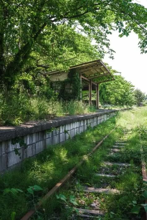 Soft Apocalypse, Apocalypse Landscape, Post Apocalyptic Art, Apocalypse Aesthetic, Abandoned Train, Post Apocalypse, Dieselpunk, Zombie Apocalypse, Nature Aesthetic